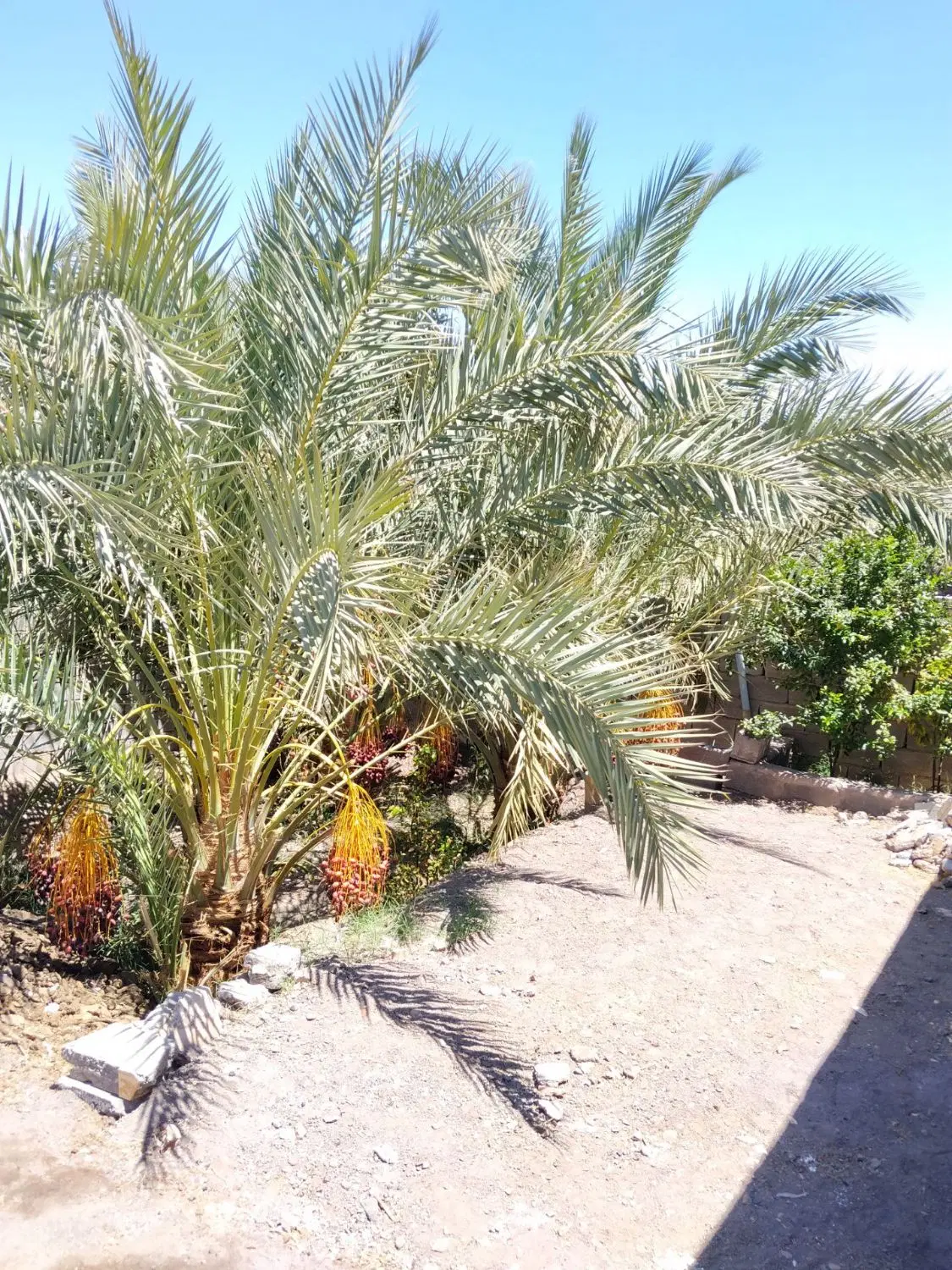 خانه فروشی