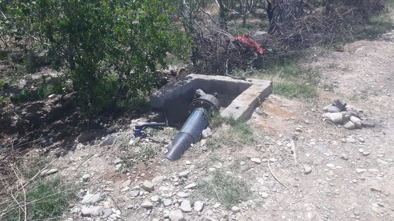 باغ