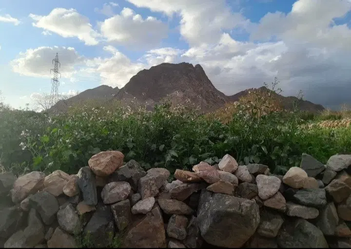 زمین مسکونی روستای زیبای داوران