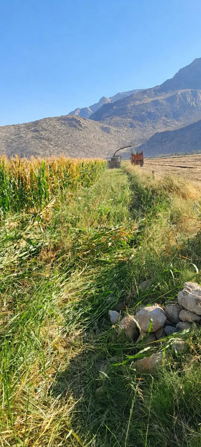 زمین کشاورزی نجوبران
