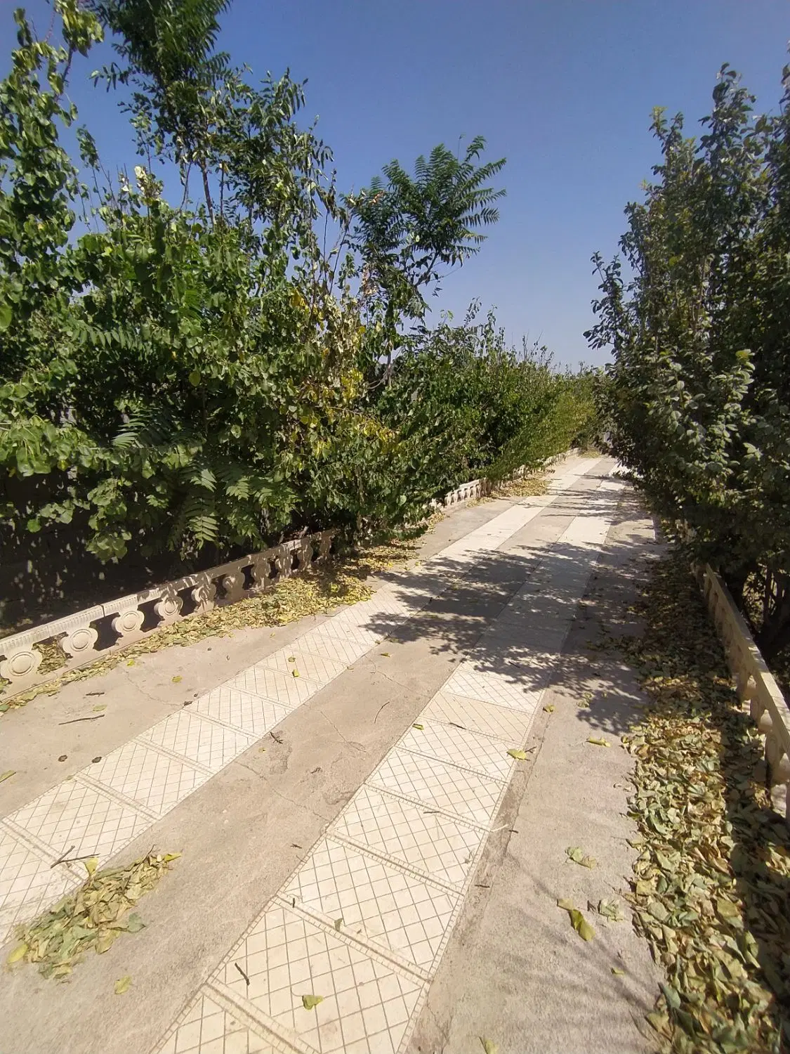 باغچه 535 متری