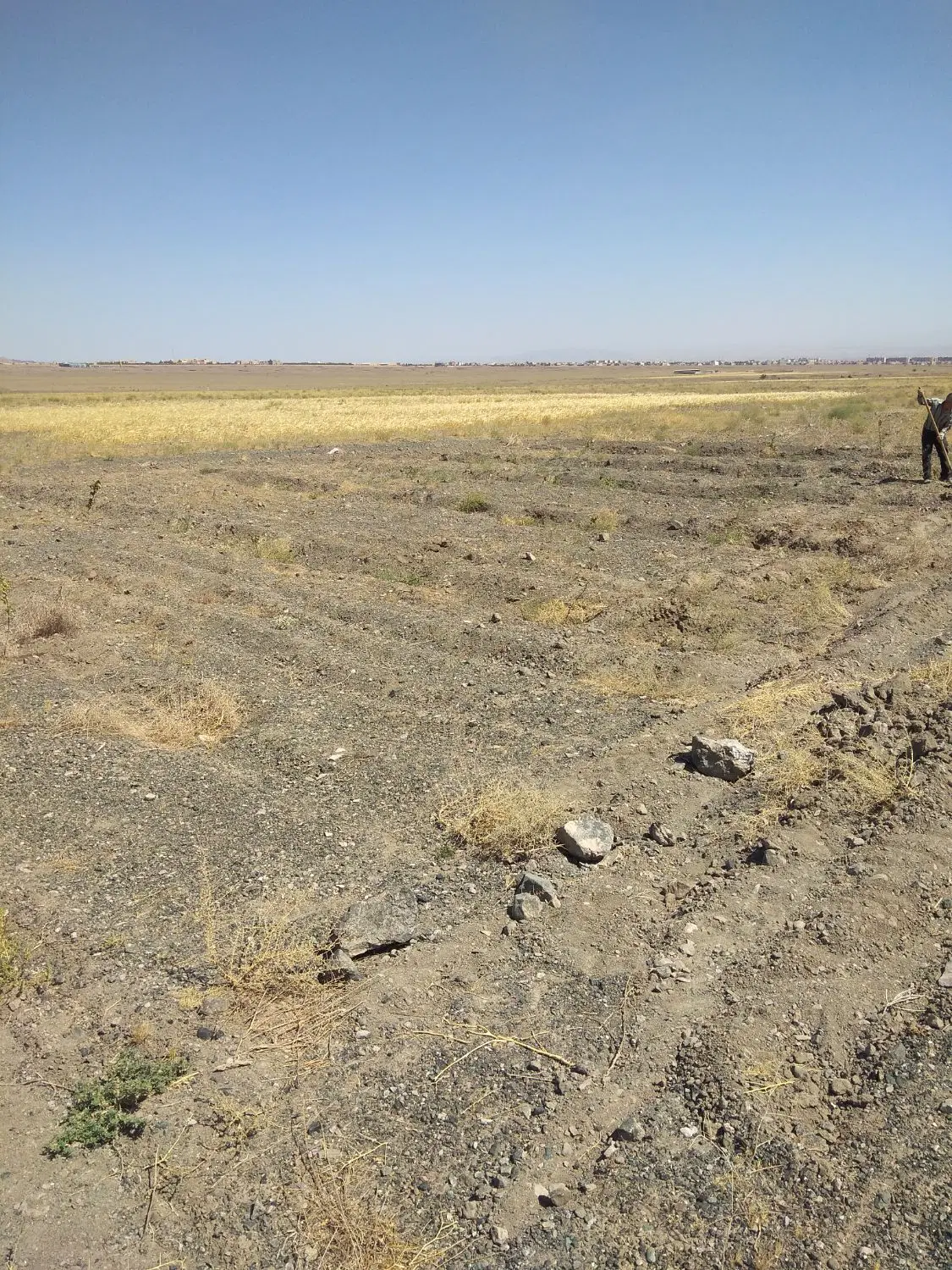زمین روستای سدید