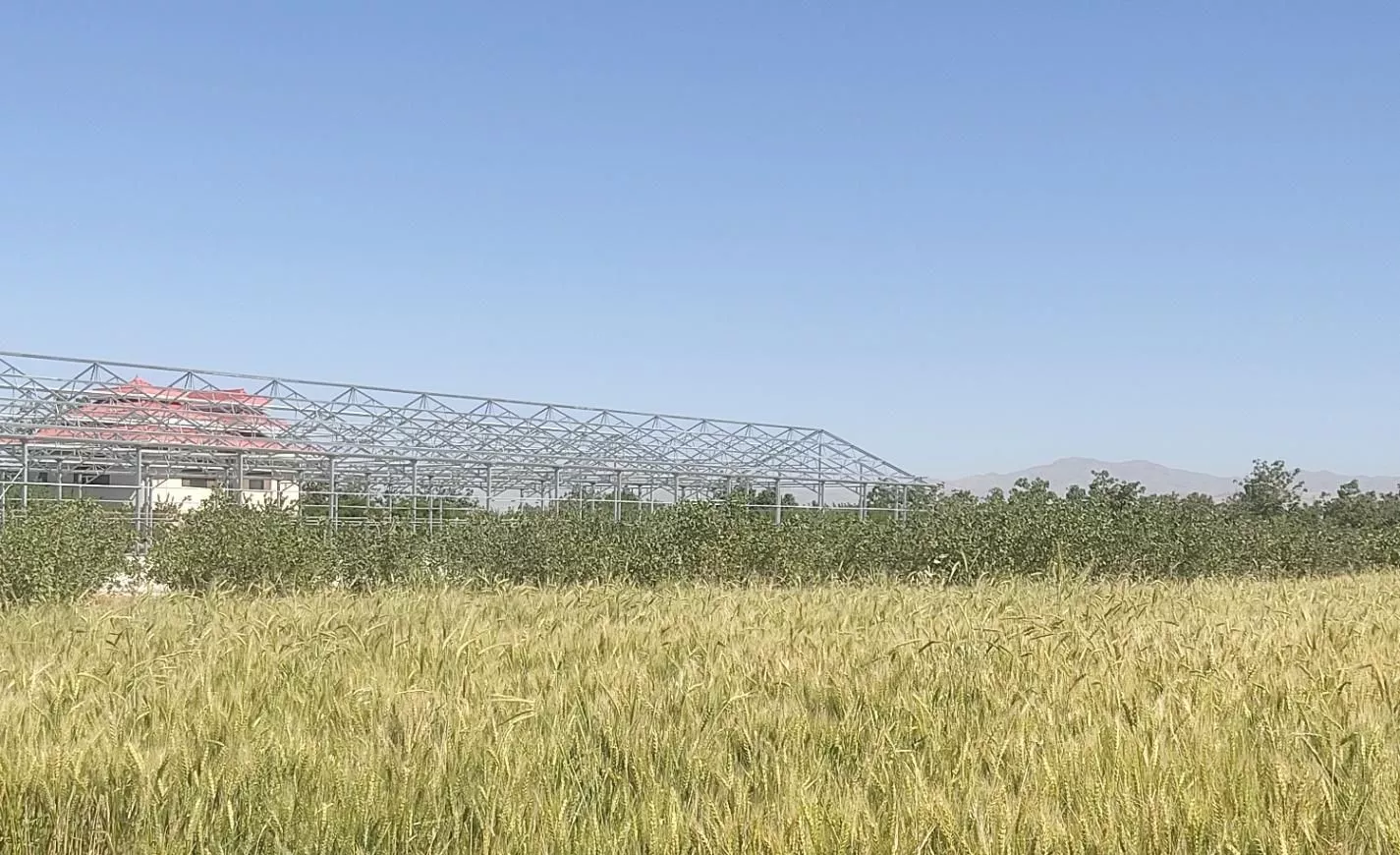 باغ پسته ۴۲۰۰ متر جاده الموت