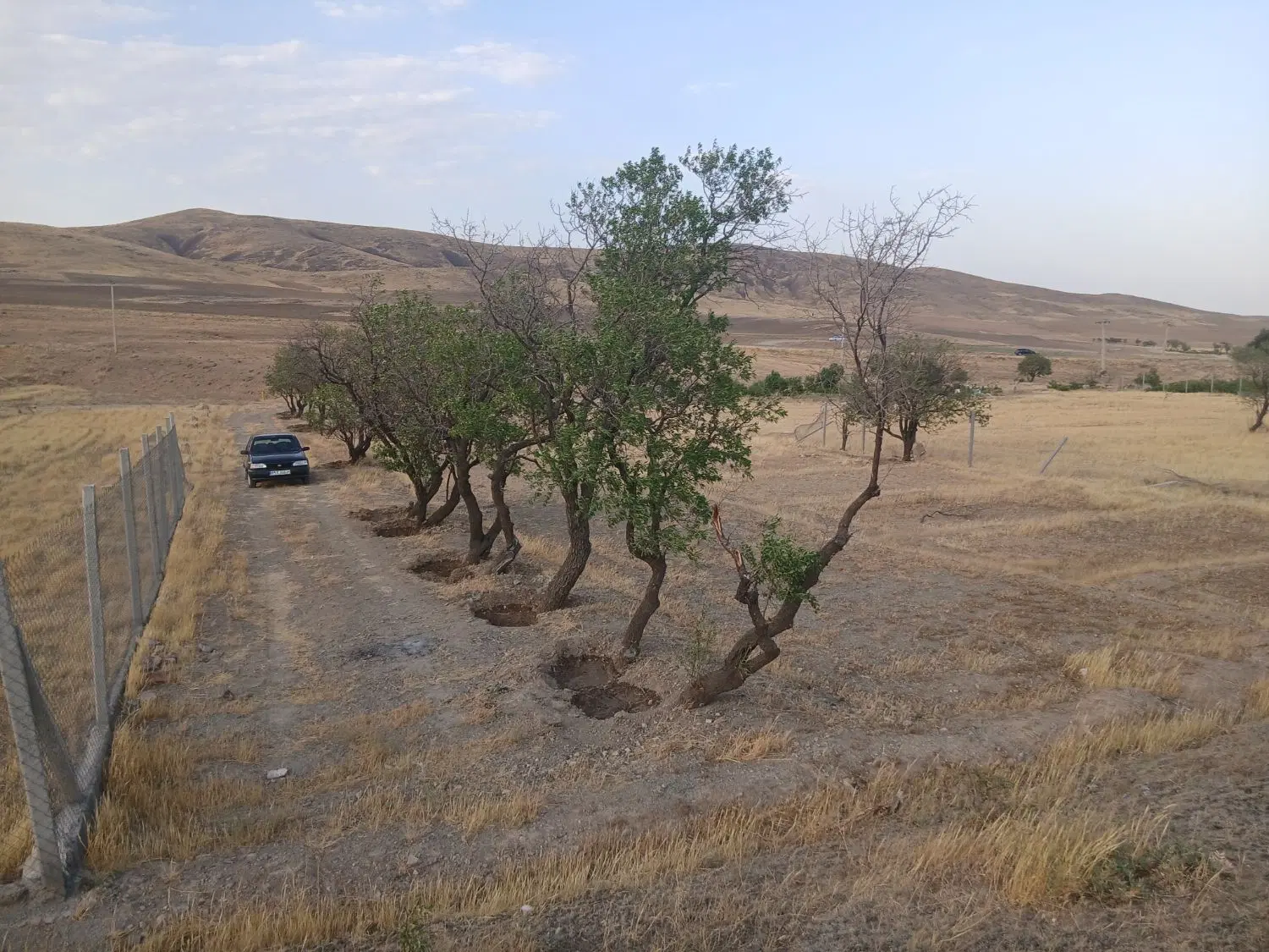 زمین وباغ در علنقیه