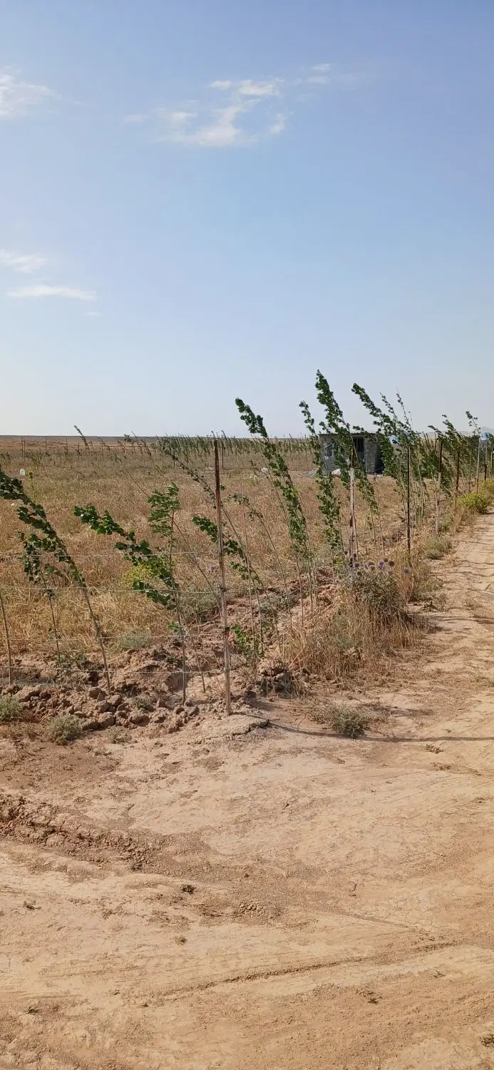 باغ ۲۰۰۰ متری نمین روستای نوشنق
