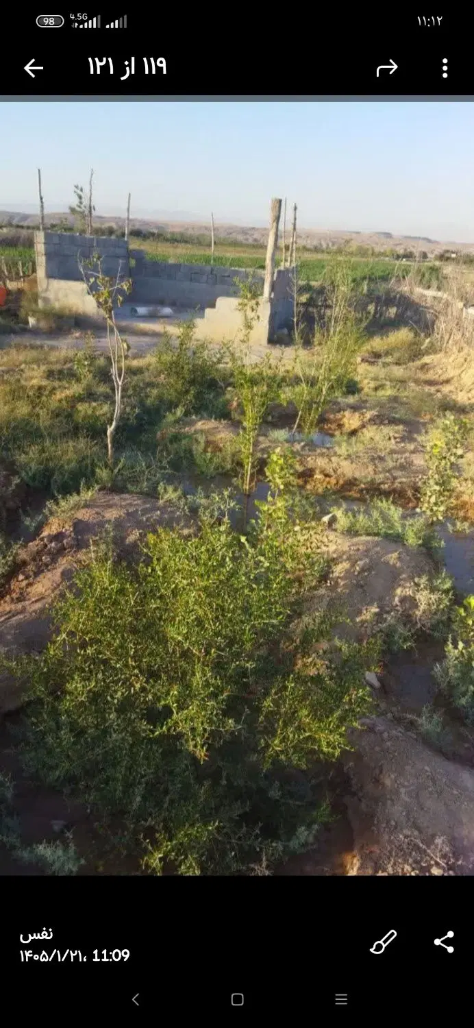 ۴۰۰ متر باغچه پیشک دو