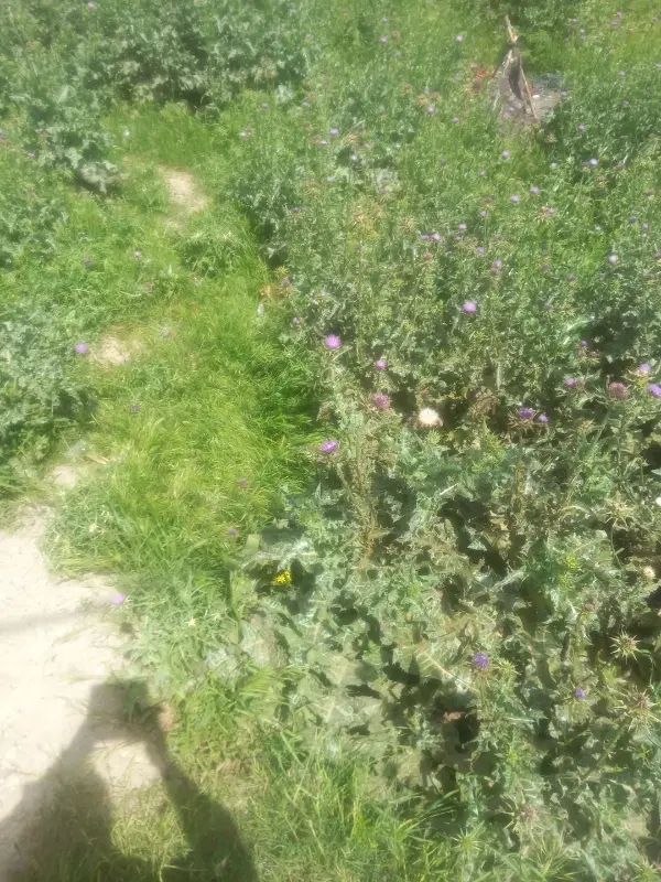 فروش زمین