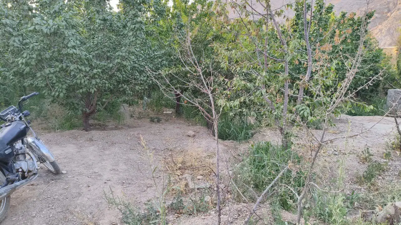 فروش زمین باغی