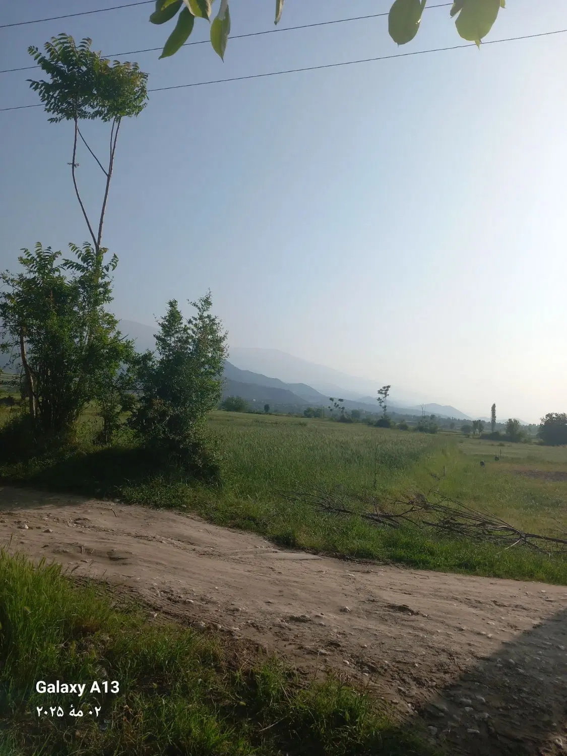زمین واقع در دنگلان
