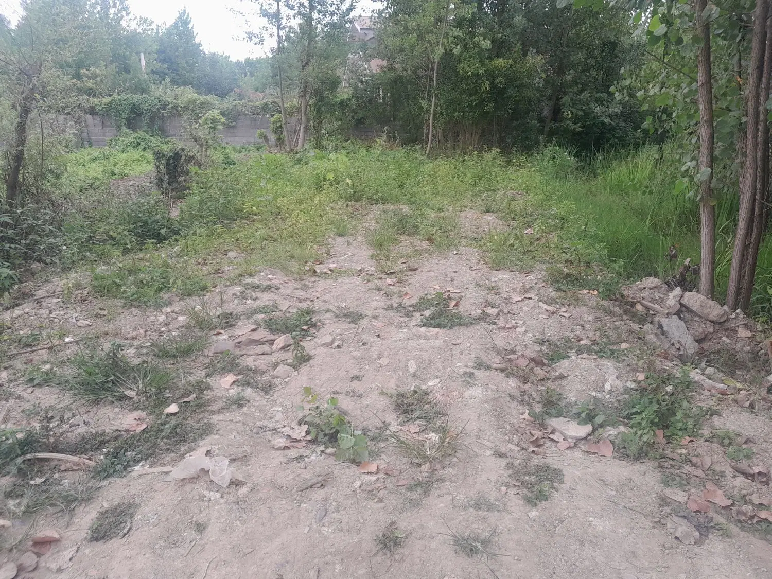 زمین ۲۰۵ متری روستای داخل