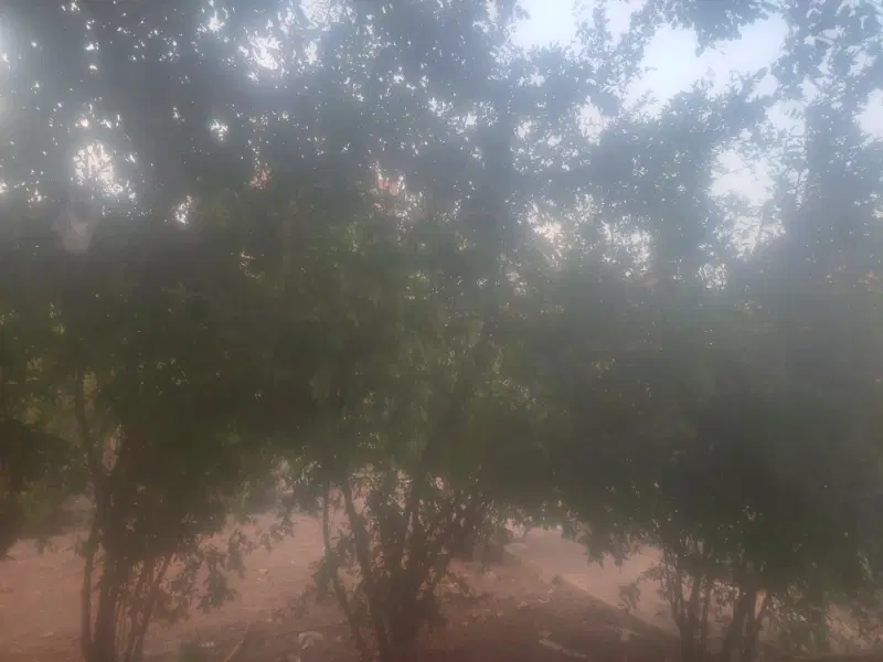 رهن واجاره هم کف ویلایی