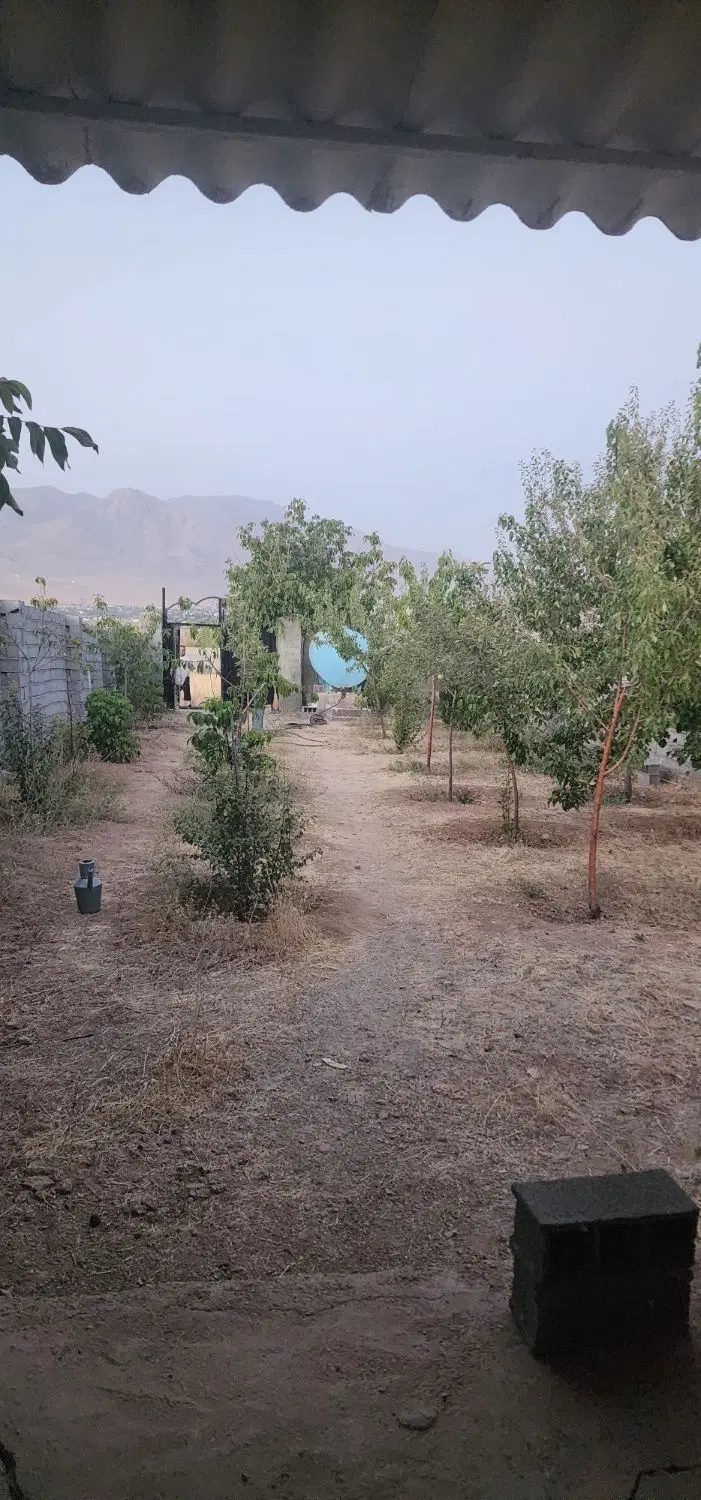 باغ میوه وادان دماوند