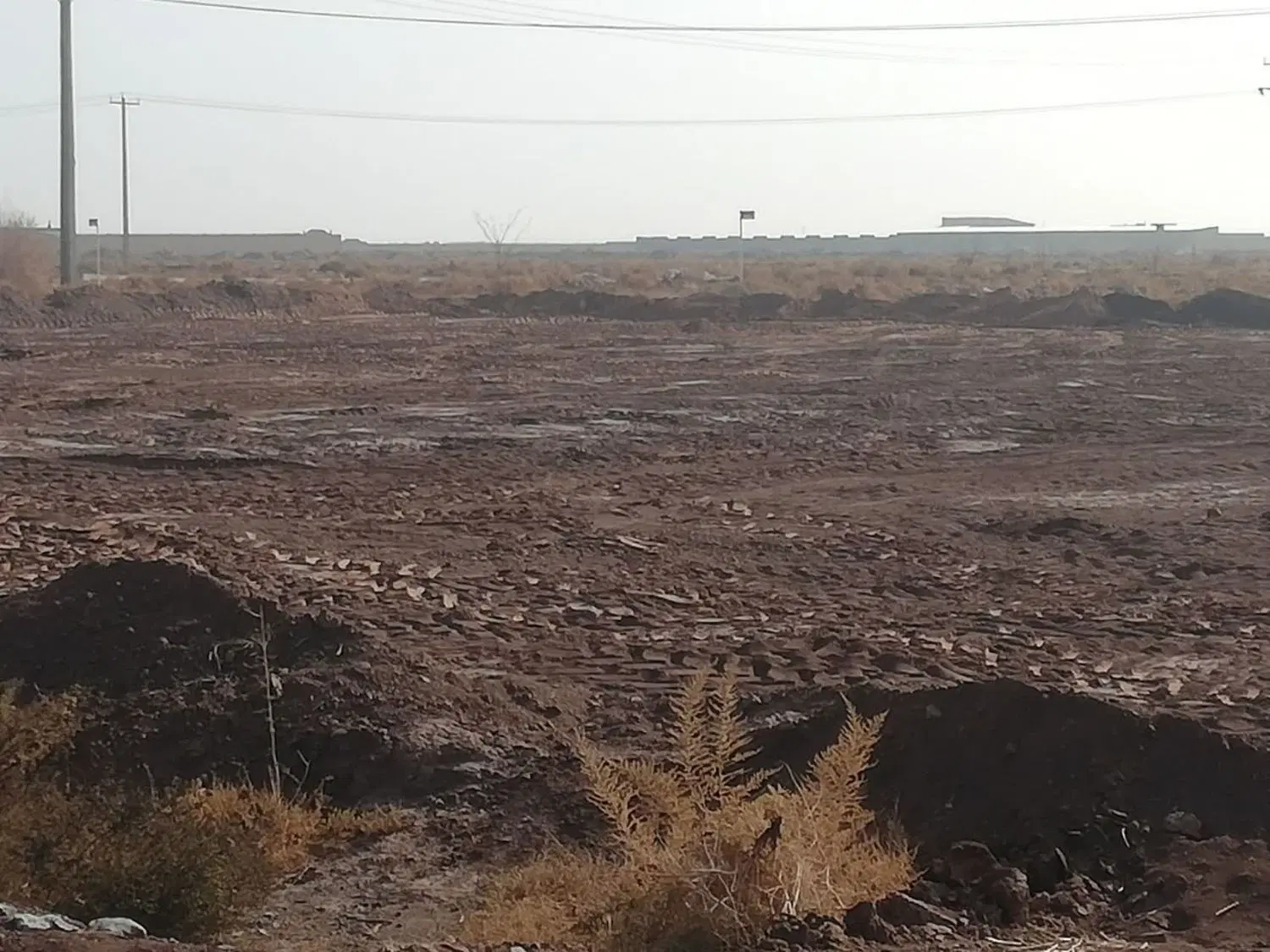 ۳۶۰۰ متر با مجوز گوسفندداری