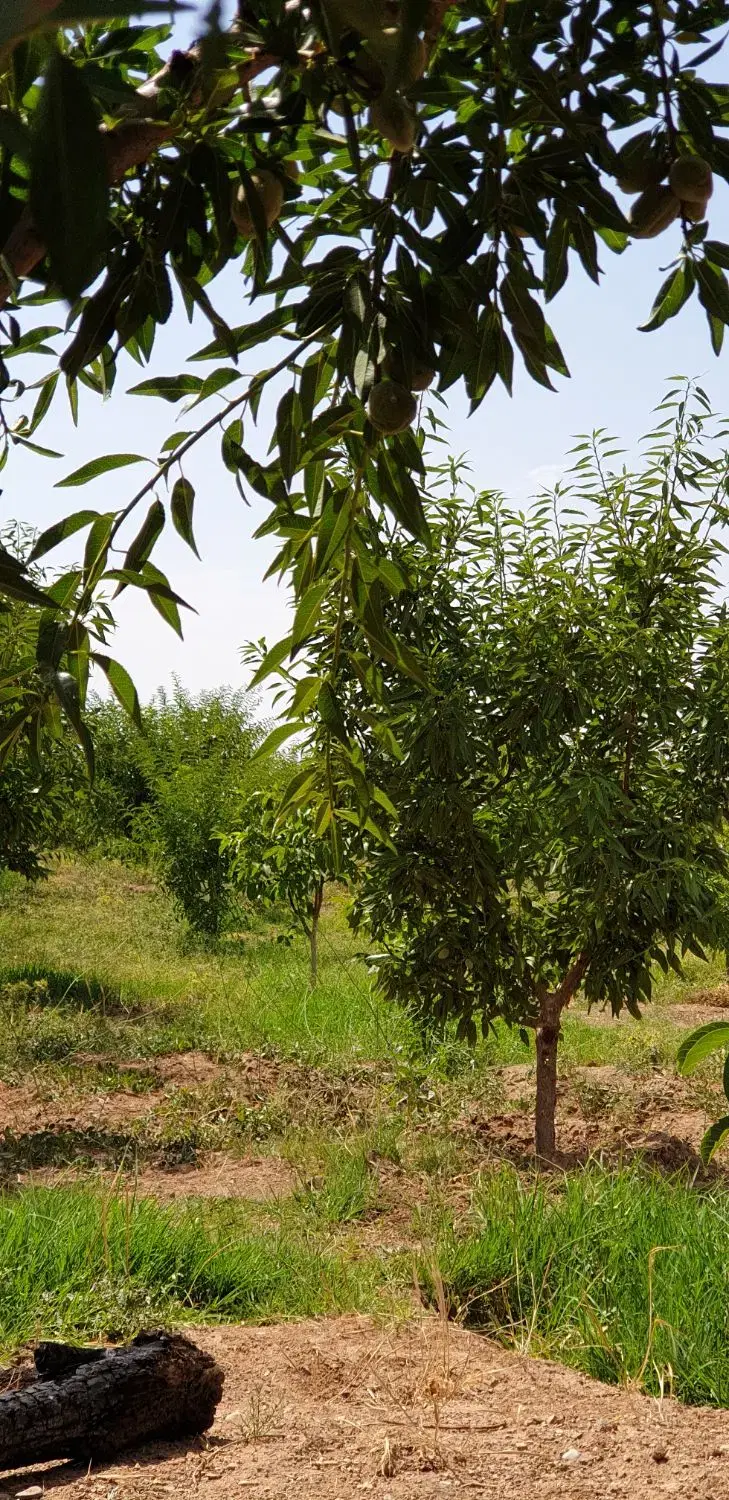 ویلای ۳۲۰۰ متری