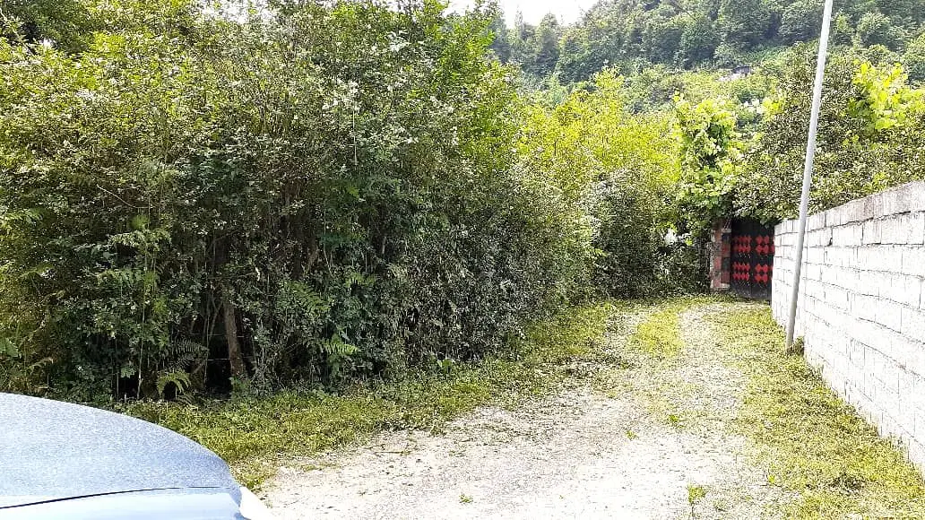 فروش فوری زمین 200متری_ عباس‌آباد روستای سی بن