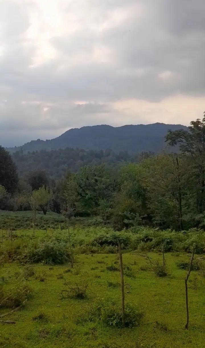خانه ویلای روستای