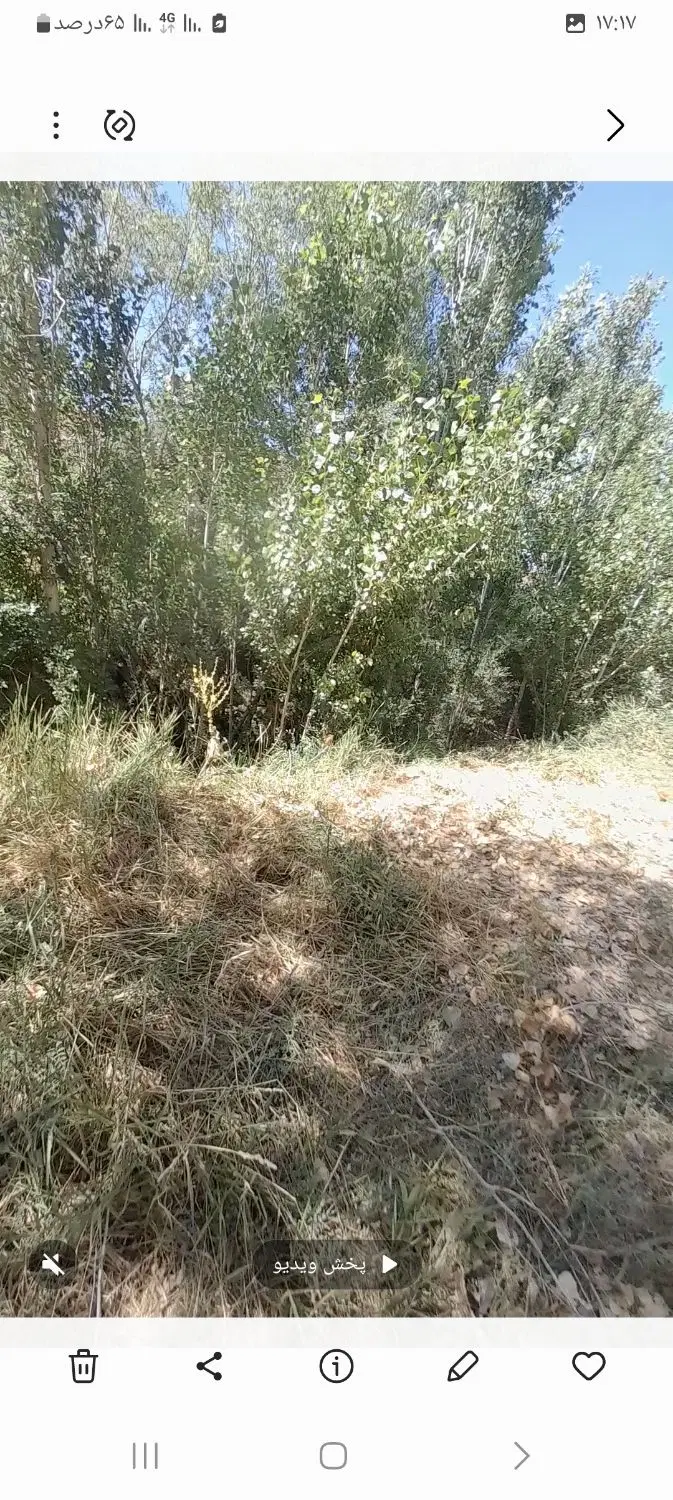 باغ