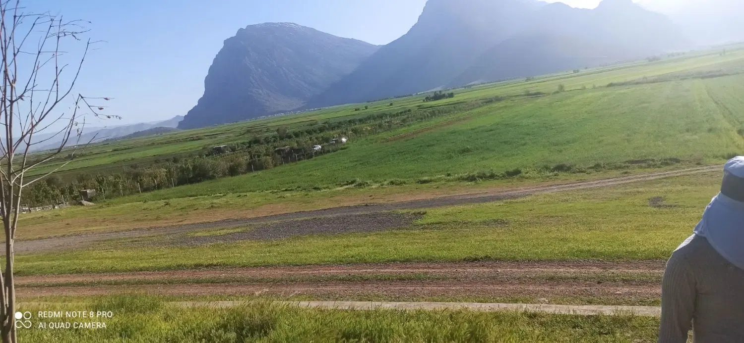 زمین باغی