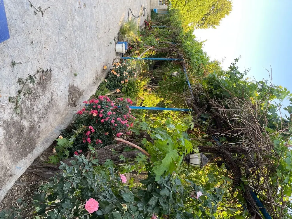 باغچه دامداری کارگاه ۱۲۵۰ متری