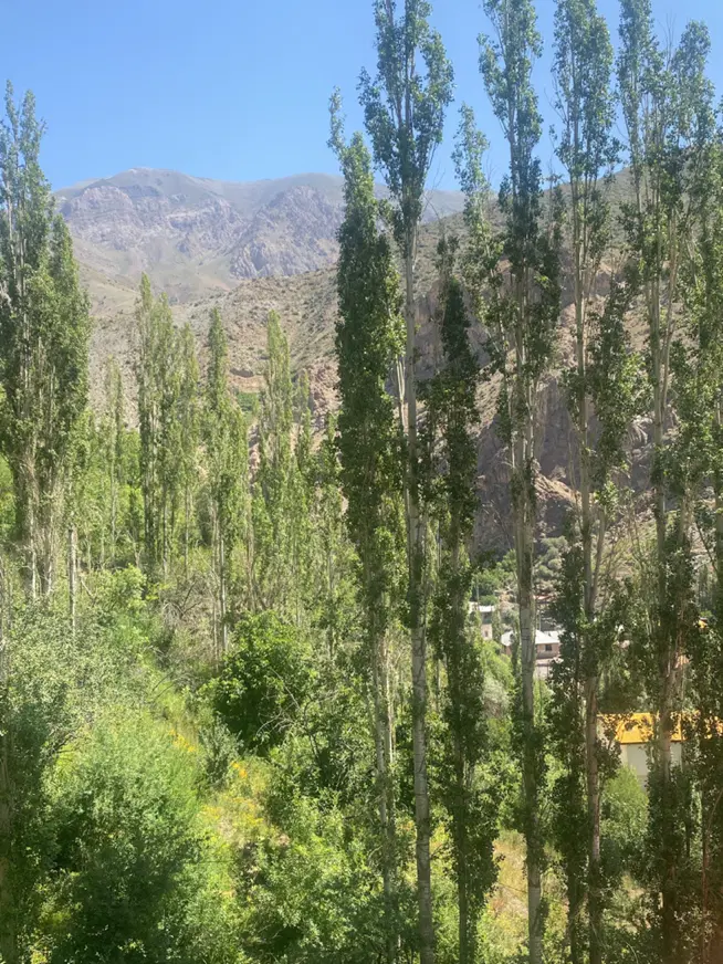 ۱۱۰۰ متر باغچه جهت احداث ویلا