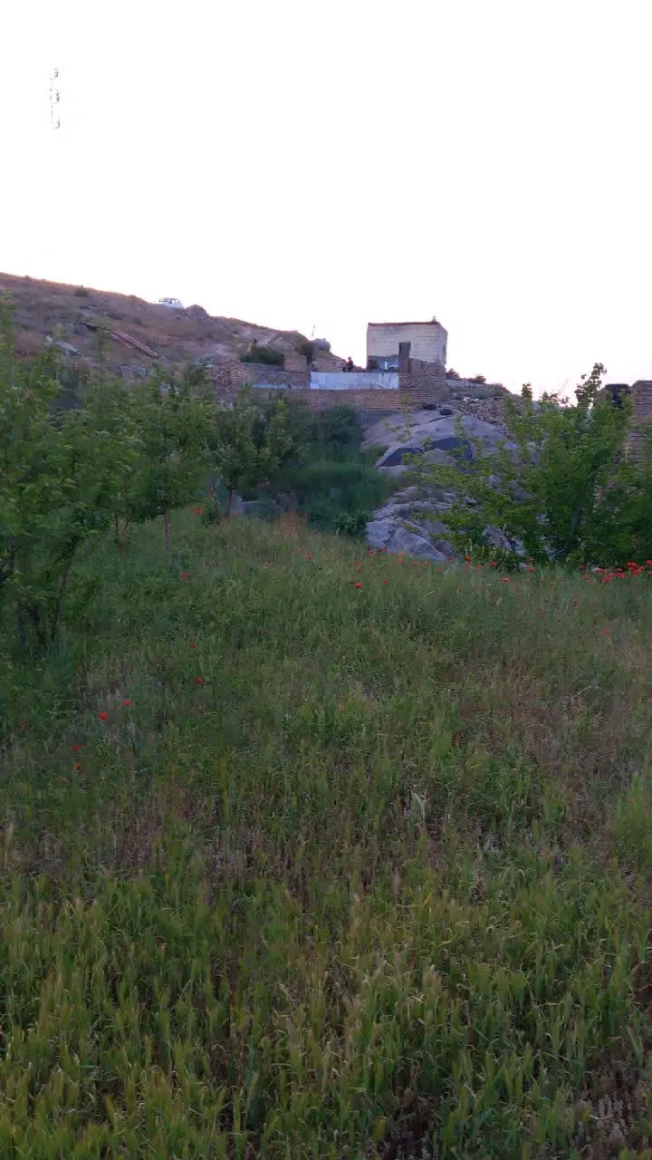 باغ کوهستانی