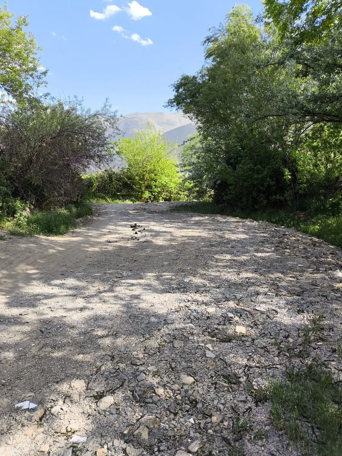 باغ کشمش
