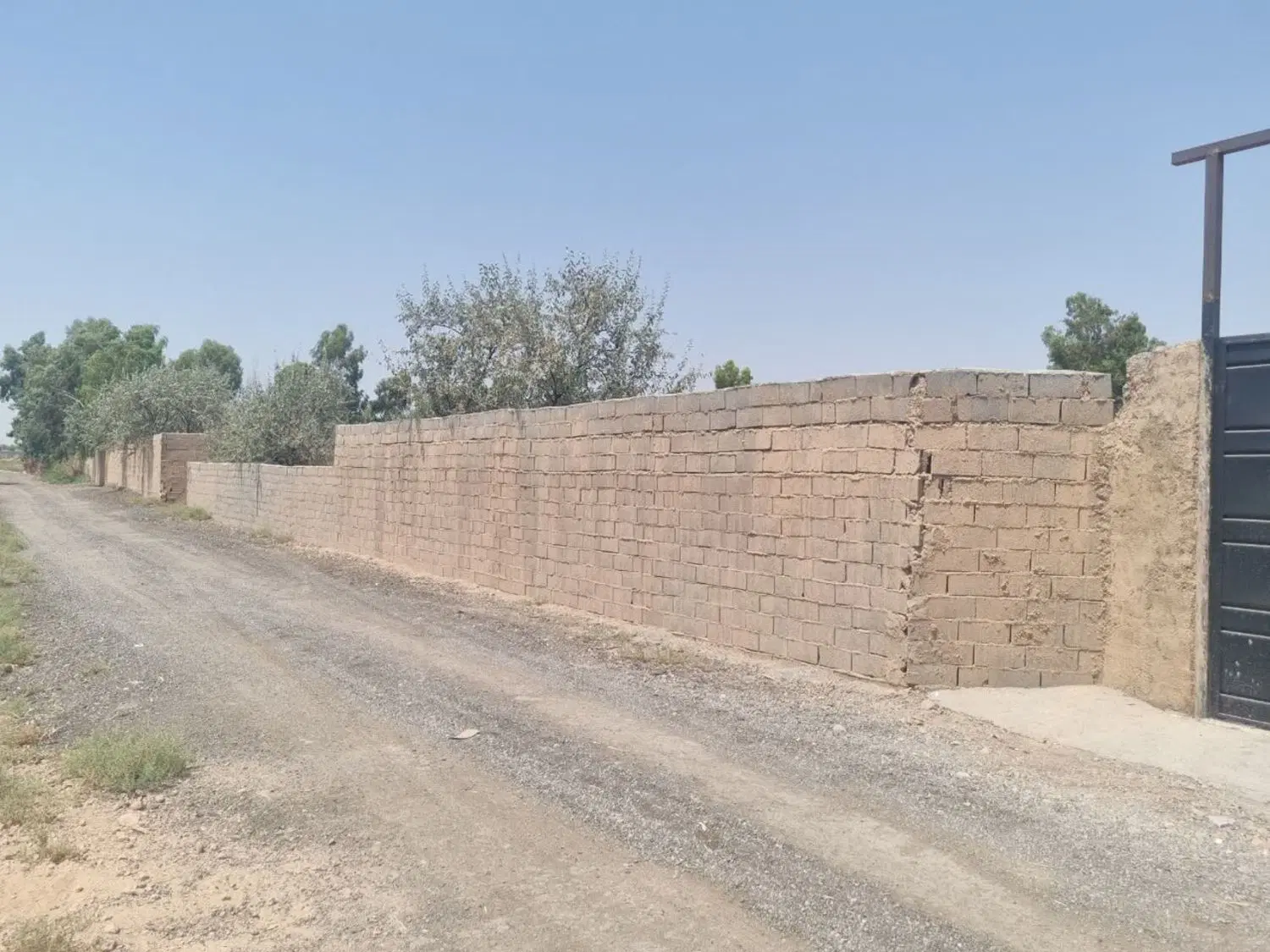 زمین خاتون اباد