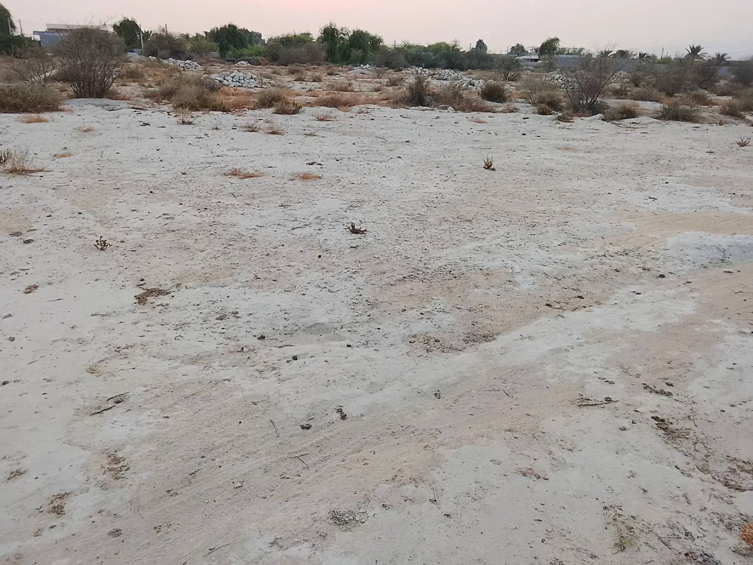 زمین