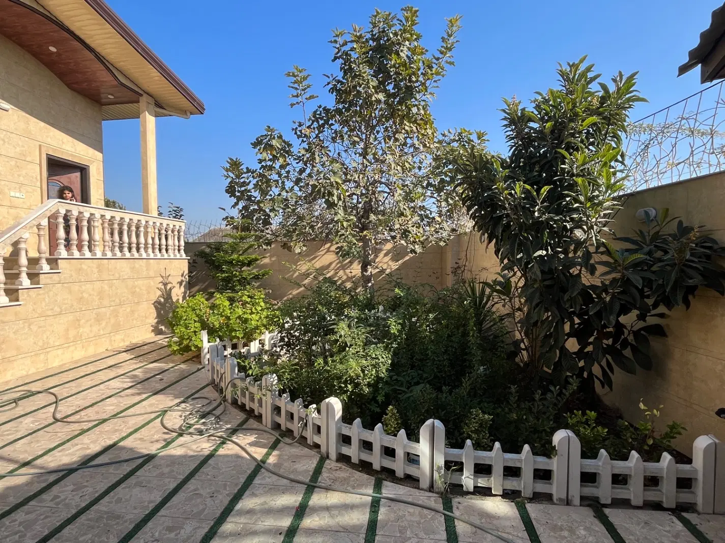 شمال سیمرغ کیاکلا