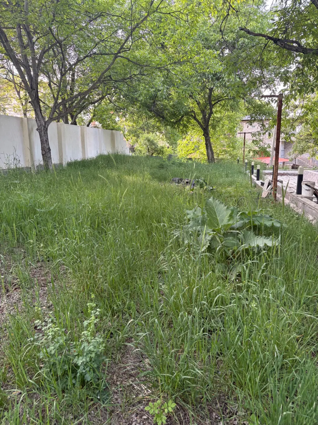 زمین در مجاورت موزه کندلوس