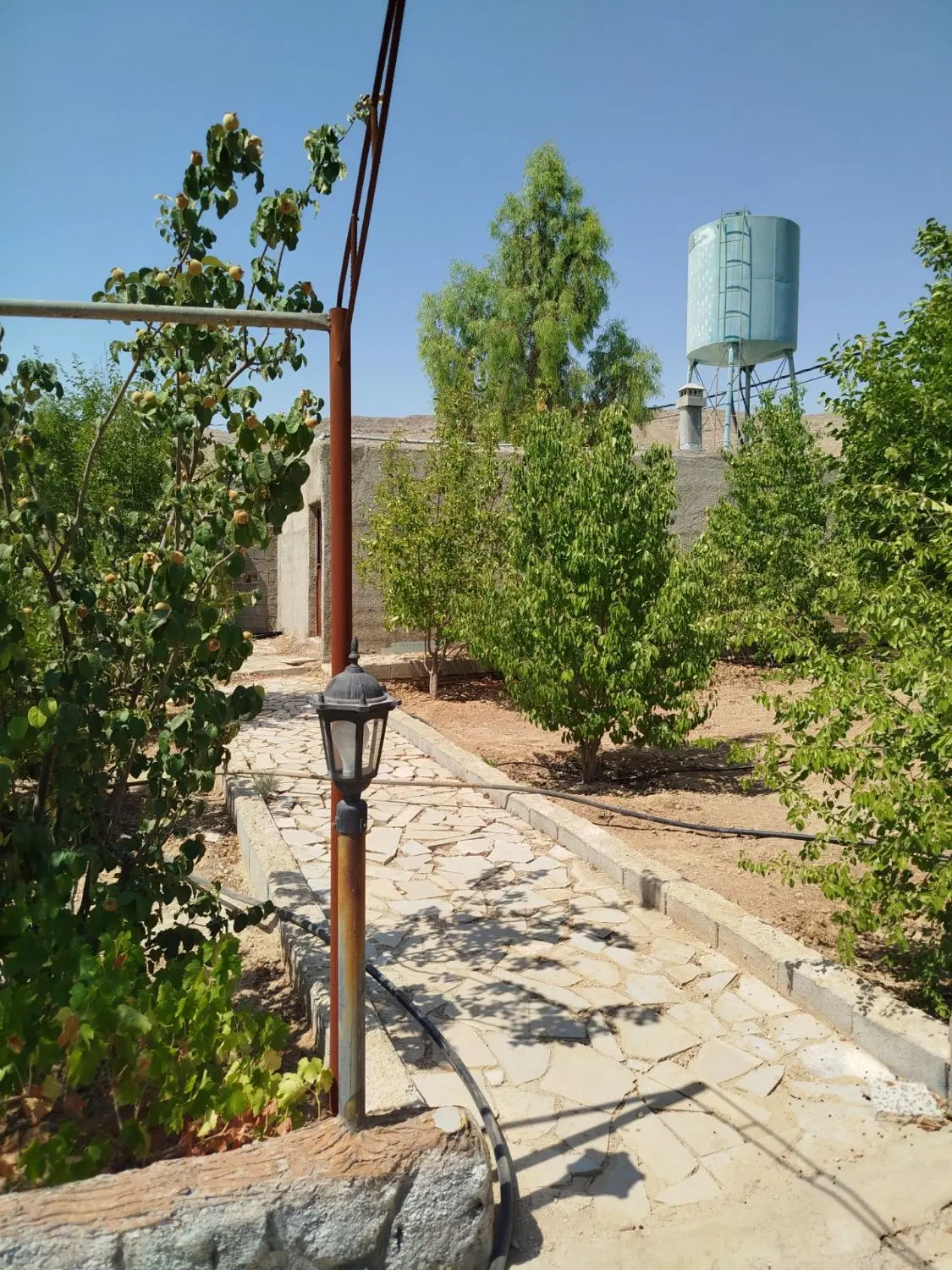 باغ شهری