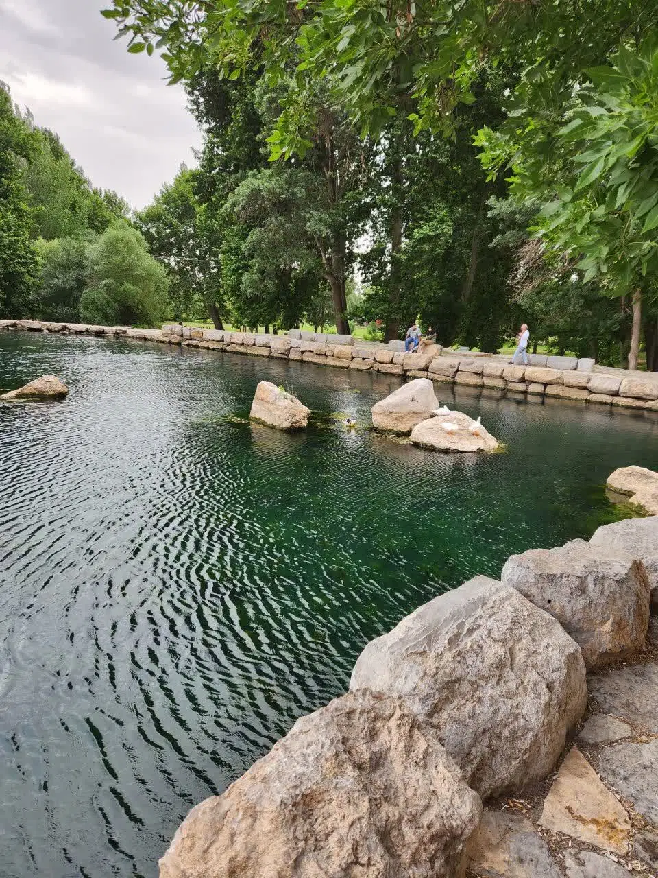زمین دستجرد دهکده صبا