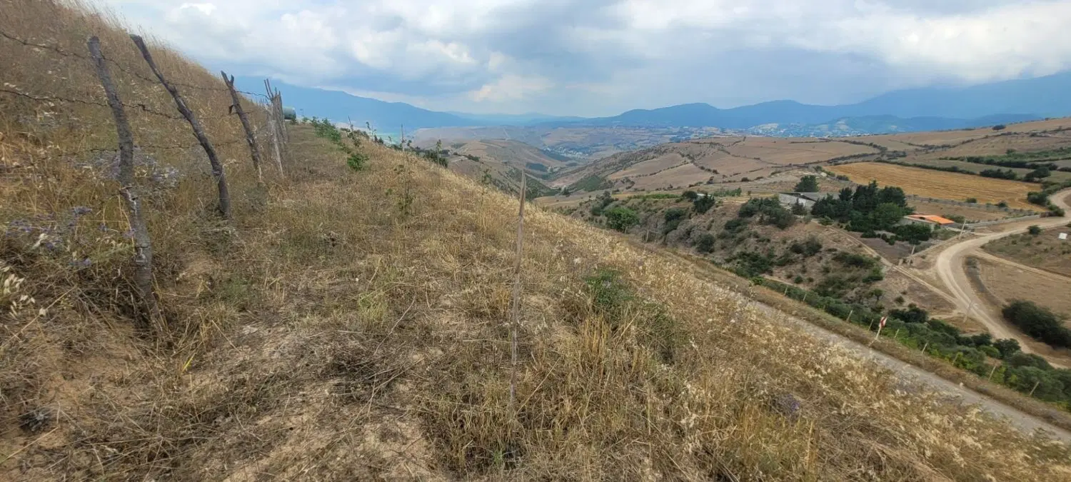 زمین باغی در کلایه