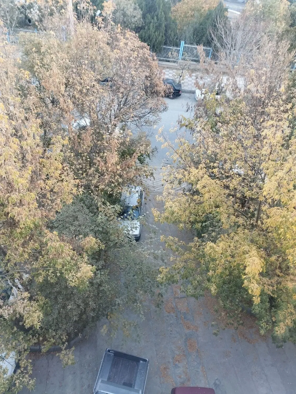 اجاره خونه مجردی