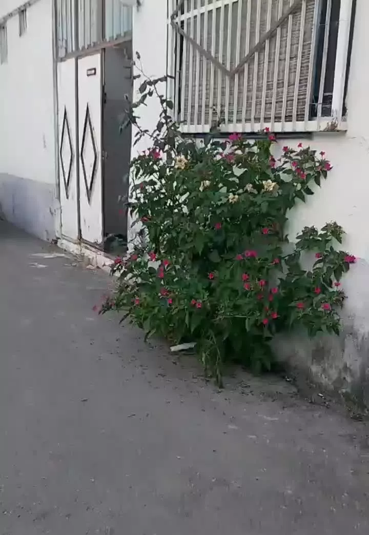 خونه ویلایی قابل سکونت سند دار