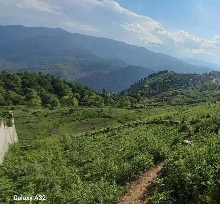 فروش ۱۷۰۰ مسکونی و باغی در بام سوادکوه