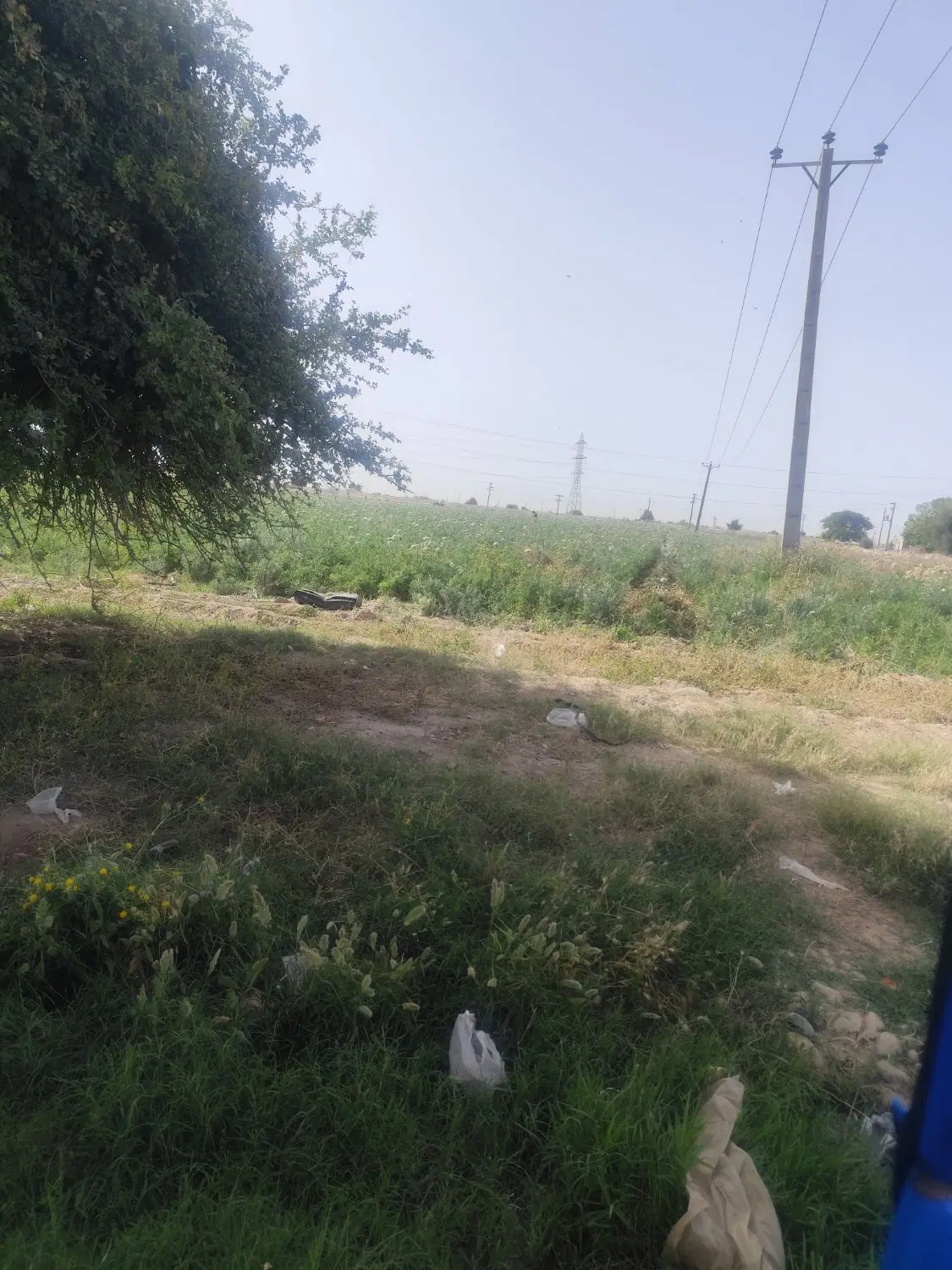 زمین اجاره