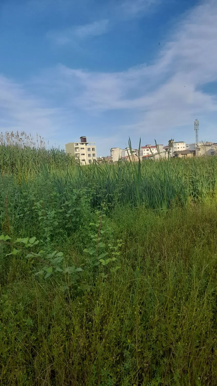 زمین مسکونی به متراژ۲۵۲ متر مربع درآستارا