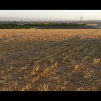 زمین باغ قبل چمگلک
