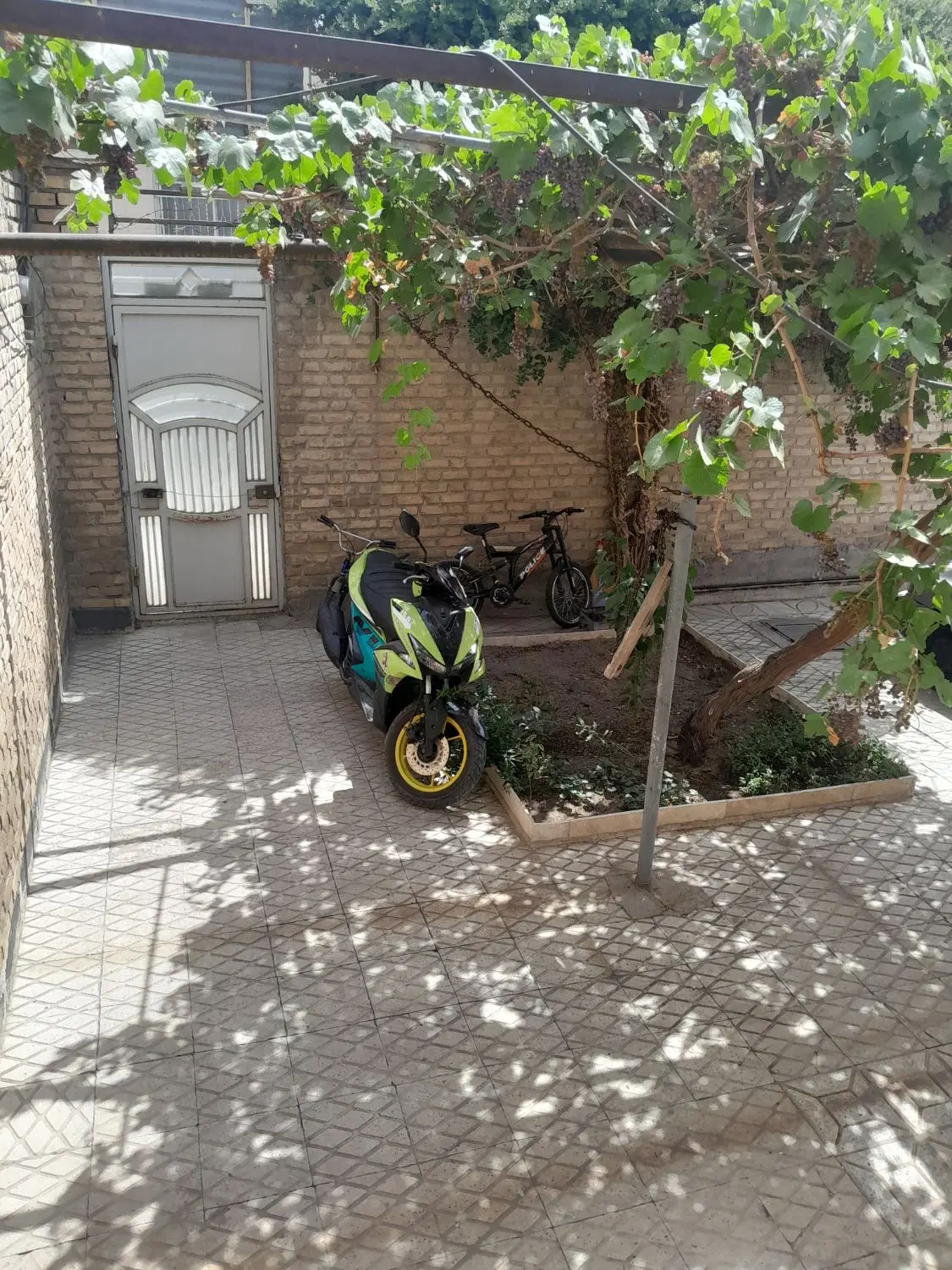 ملک دربست اجاره ای خیابان محسنی