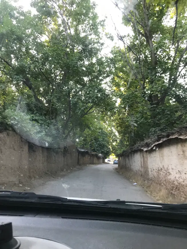 زمین ۲۷۰ متری مسکونی روستای تنگ کرم فسا