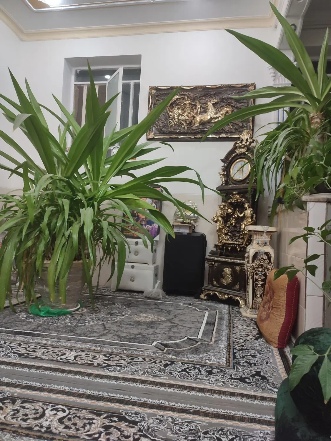 زیر زمین 70 متری اجاره ای