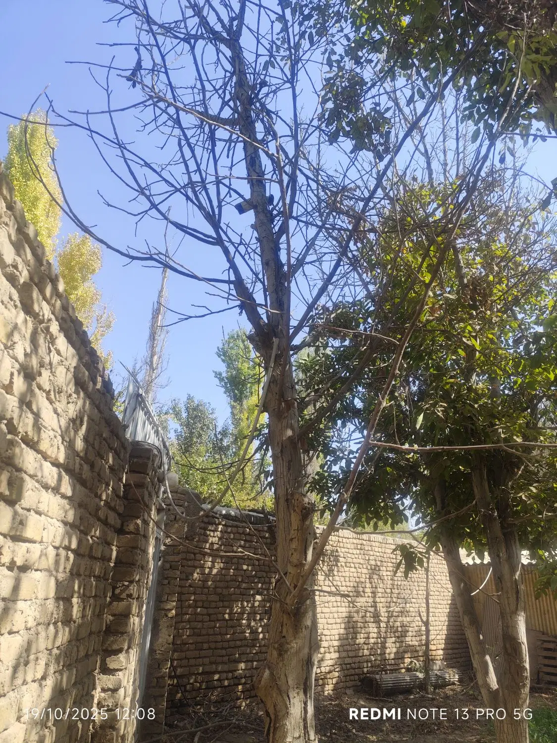 ۵۴۰ متر زمین داخل بافت مسکونی با جواز ساخت