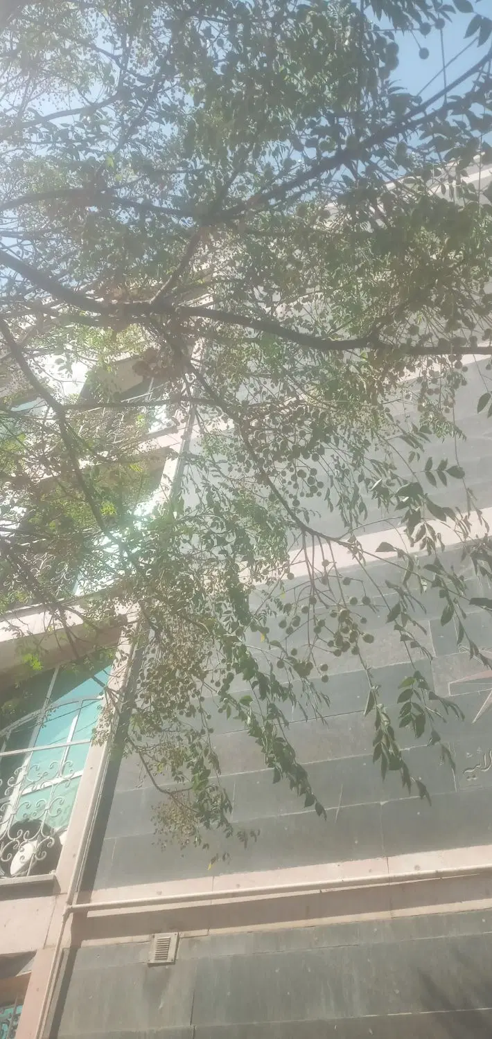 آپارتمان در بحر اصلی