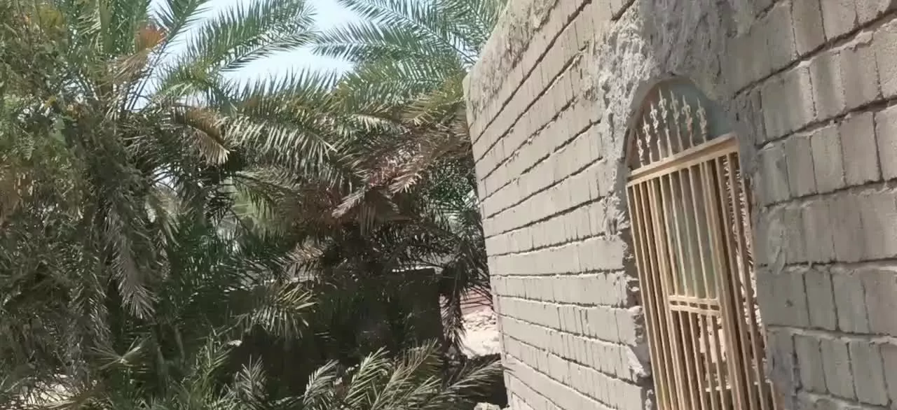 اجاره فروش ویلا خانه باغ و نخلستان  برای بوم گردی