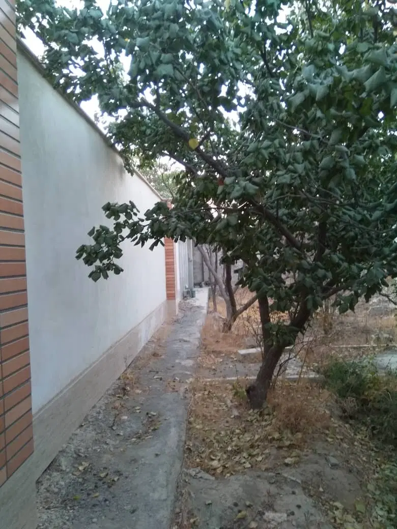 باغچه ۲۵۰ متری چهار دیواری