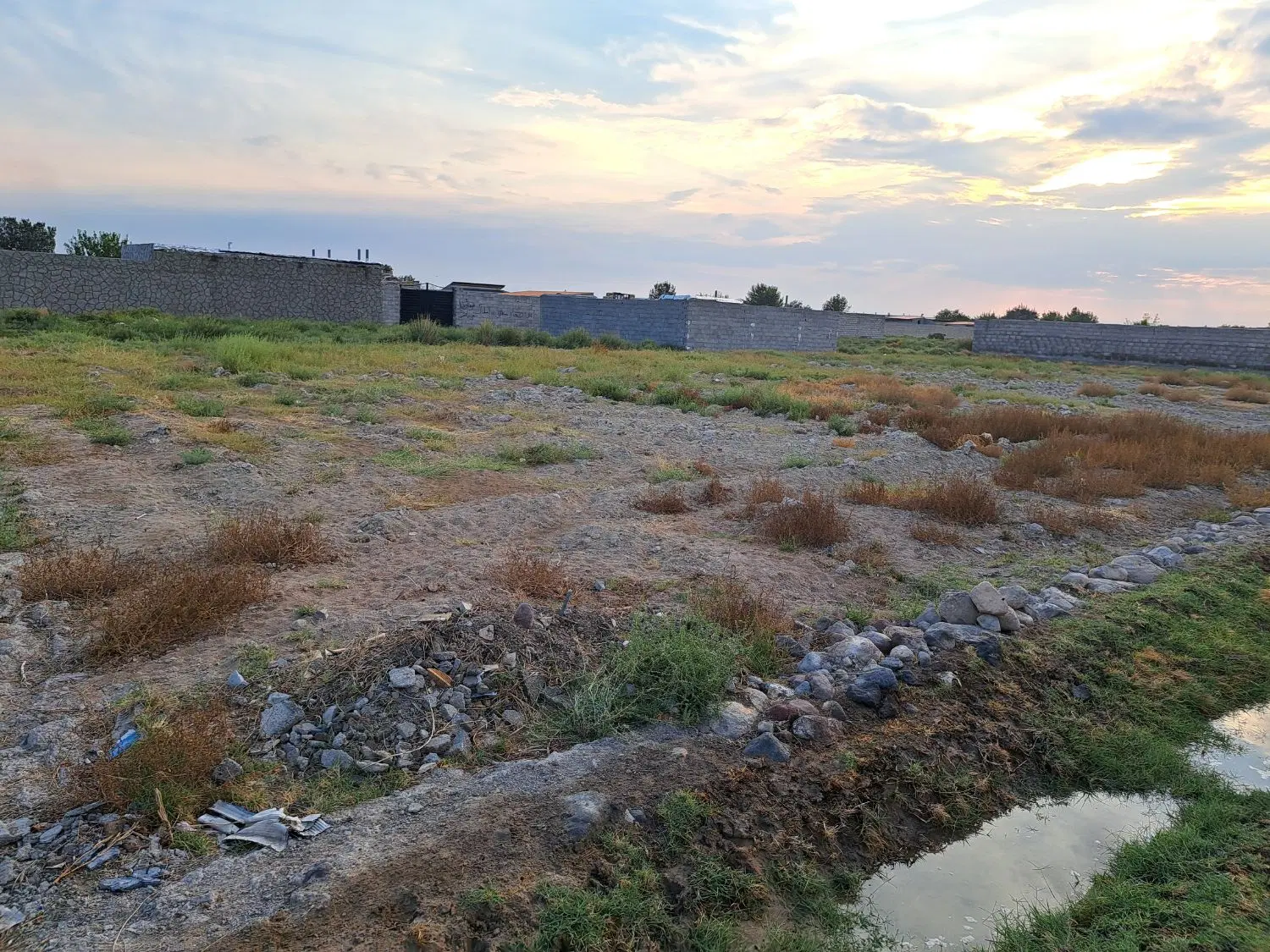 زمین باغی