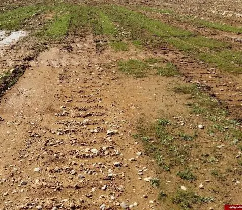 زمین اجاره ای