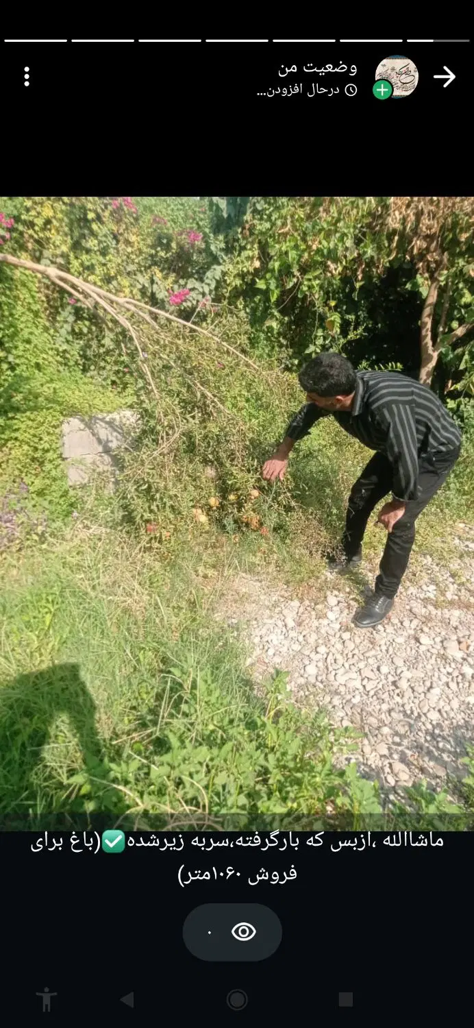 فروش وخریدزمین چم گلک مسکونی کشاورزی