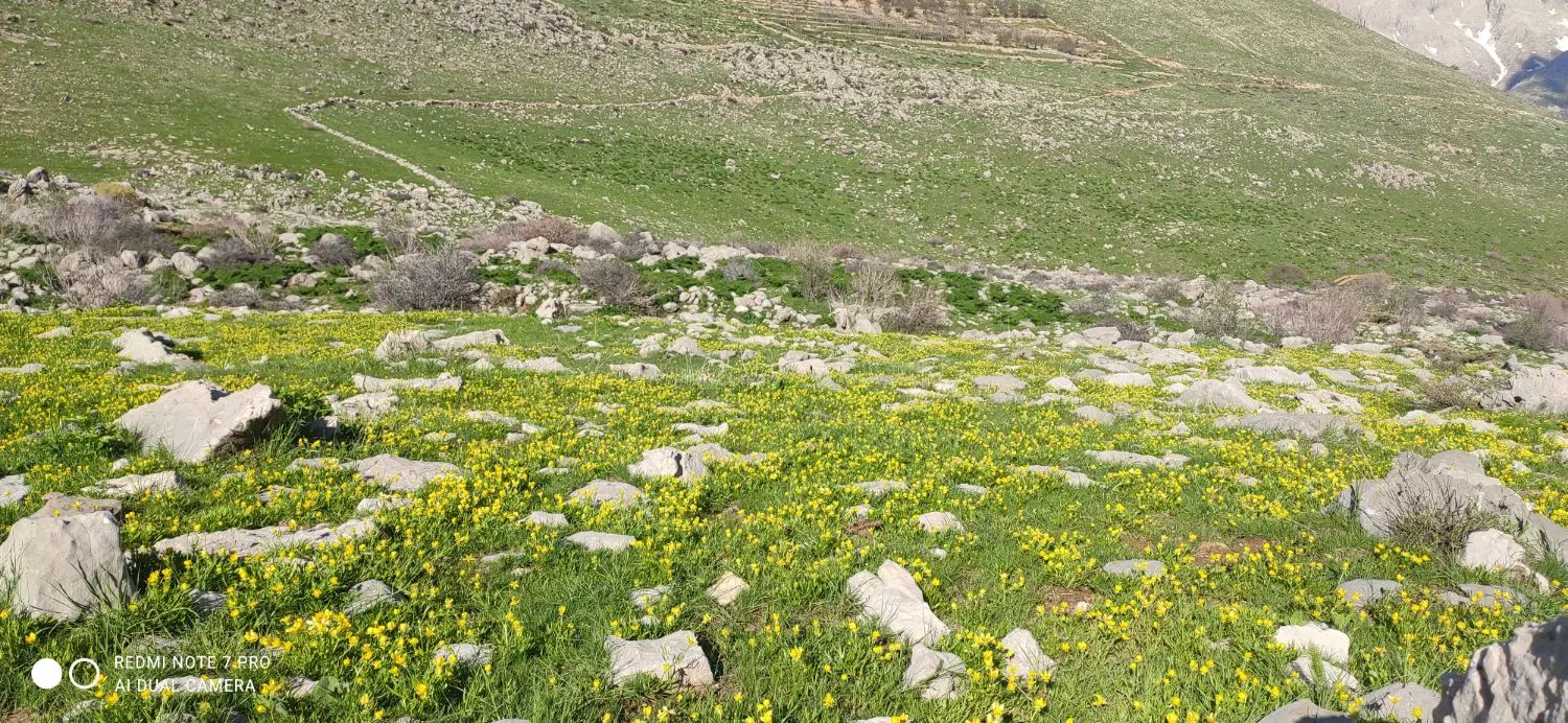 فروش پلاک120متری